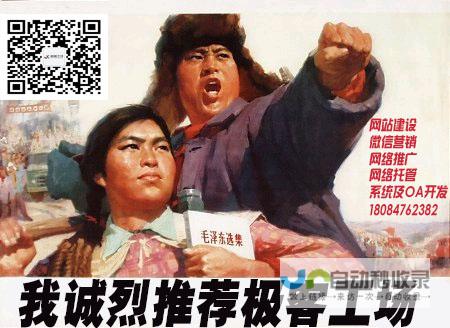 福州专业网站设计，从视觉到功能的全方位服务